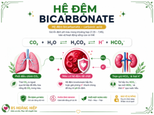 HỆ ĐỆM BICARBONATE